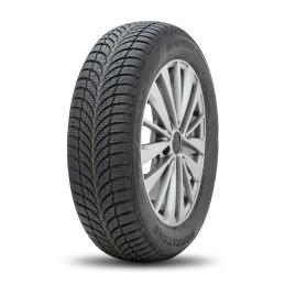 Roadstone Winguard SnowG WH2 235/60R16 100H