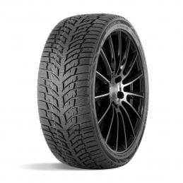 Doublestar Winterking DW08 175/65R14 82T